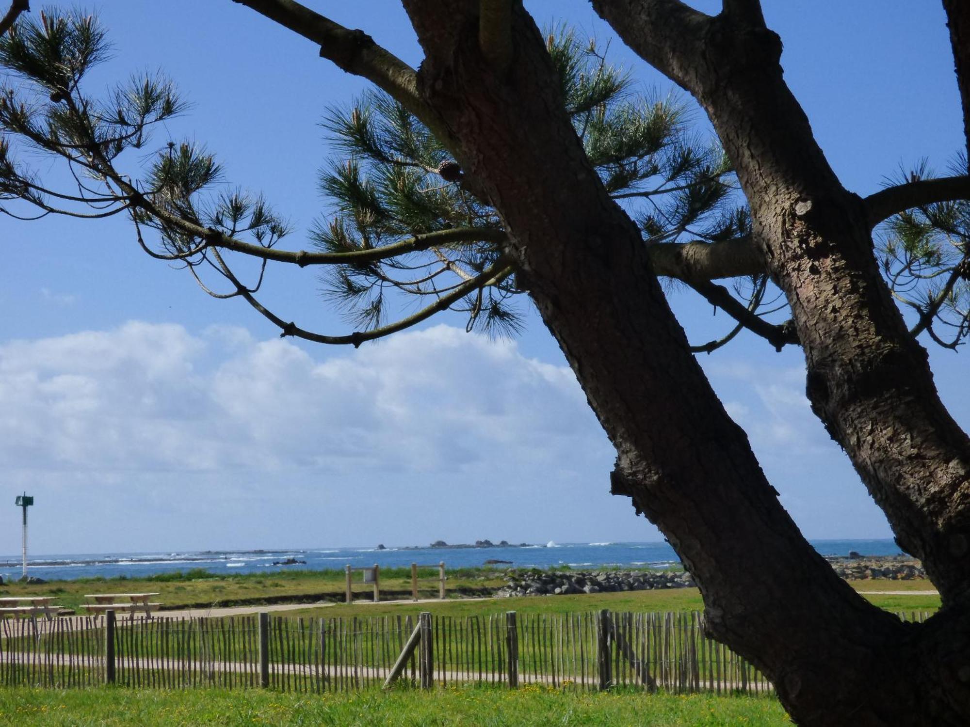 Appart-Studios Vue Mer Panoramique St Guenole Cote Mer Penmarcʼh Pokój zdjęcie